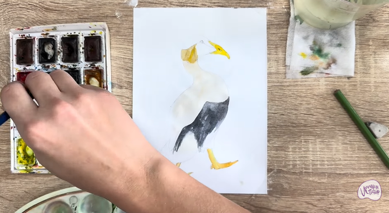 Рисуем Обыкновенная гага