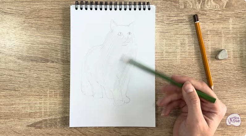 Рисуем Норвежский лесной кот