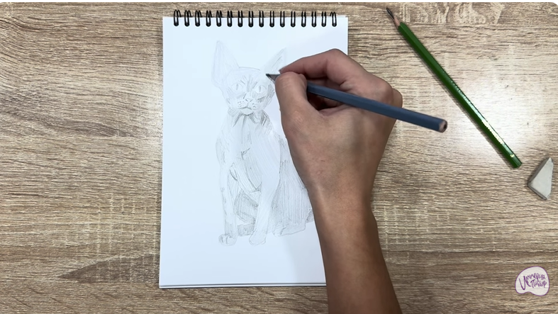 Рисуем Девон Рекс