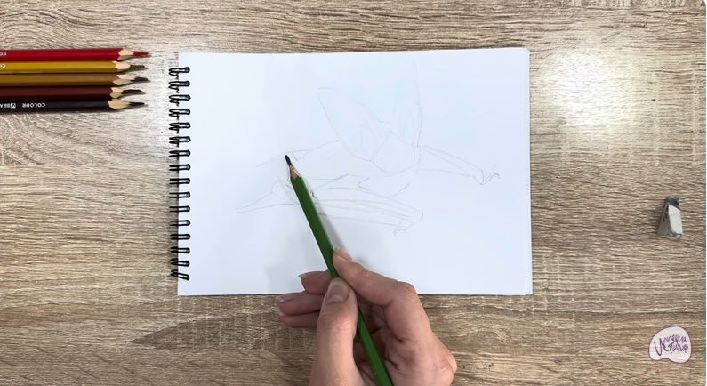 Рисуем Бурый ушан