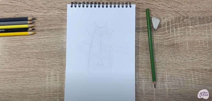 Рисуем Хохлатка