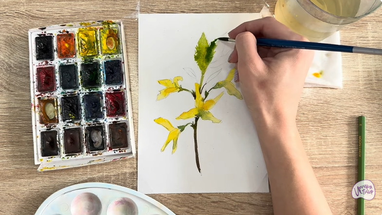 Рисуем Форзиция