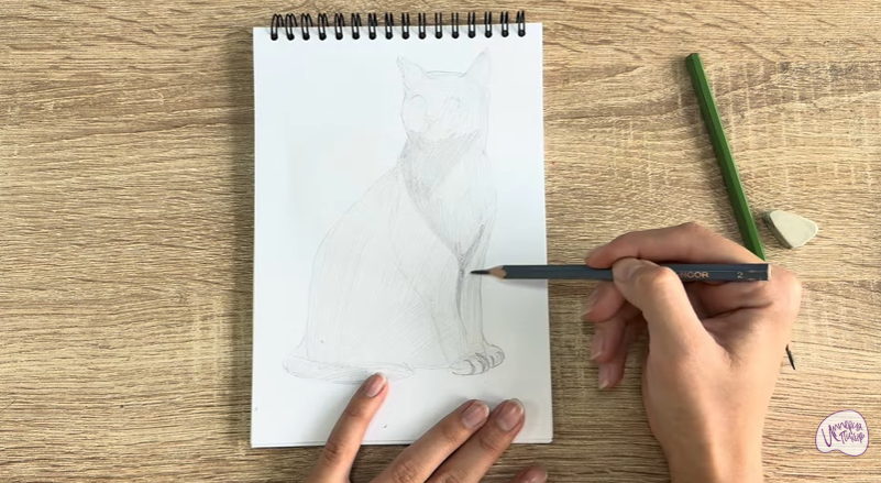 Рисуем Бурманский кот