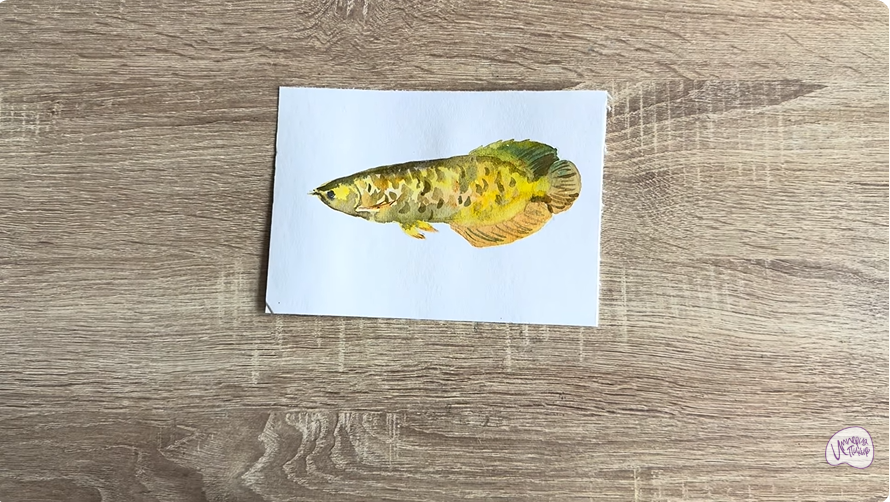 Рисуем Аравана