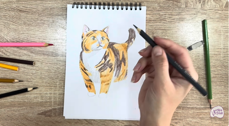 Рисуем Кошка породы "Манчкин"