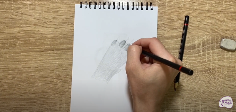 Рисуем Лапа собаки