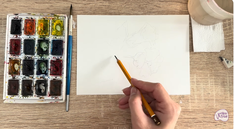 Рисуем Алтей лекарственный