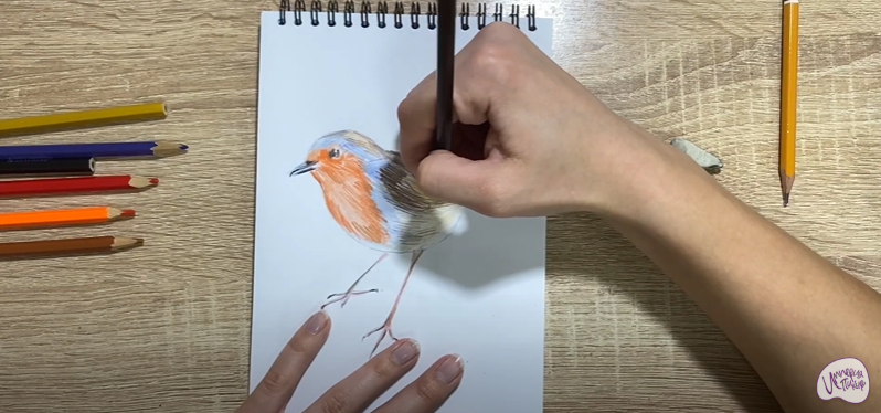 Рисуем Птичка "Зарянка"