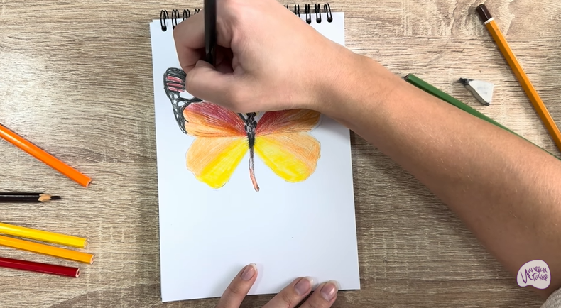 Рисуем Малинница обыкновенная