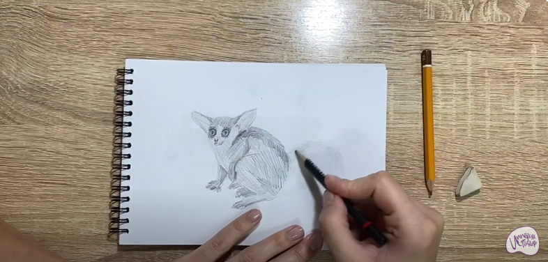 Рисуем Галаго