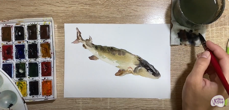 Рисуем Стерлядь