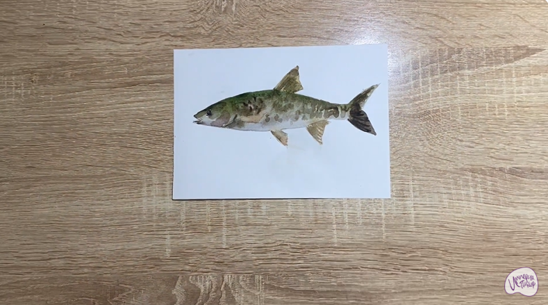 Рисуем Жерех