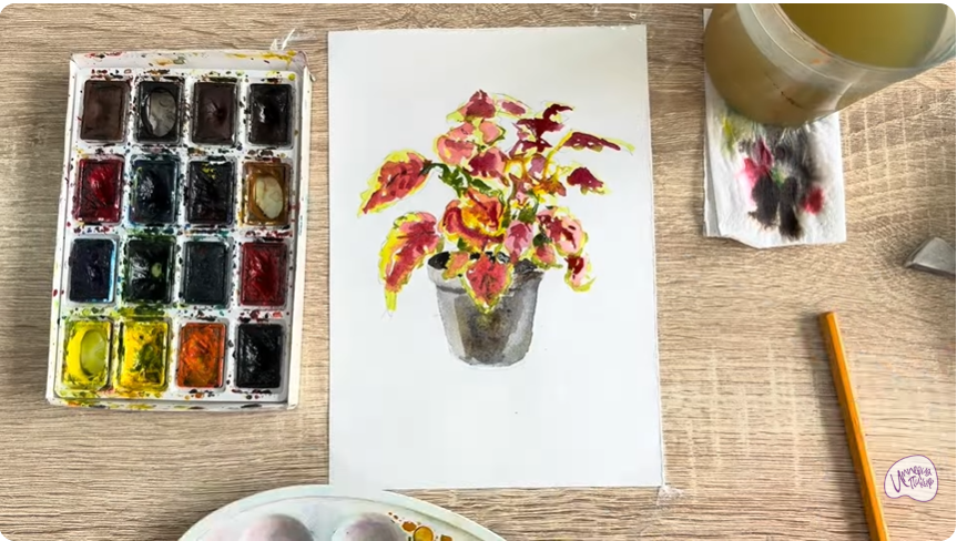 Рисуем Колеус в горшке
