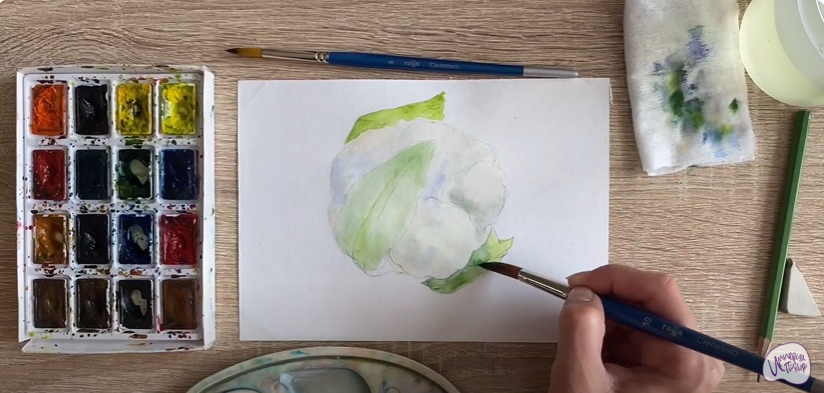 Рисуем Цветная капуста