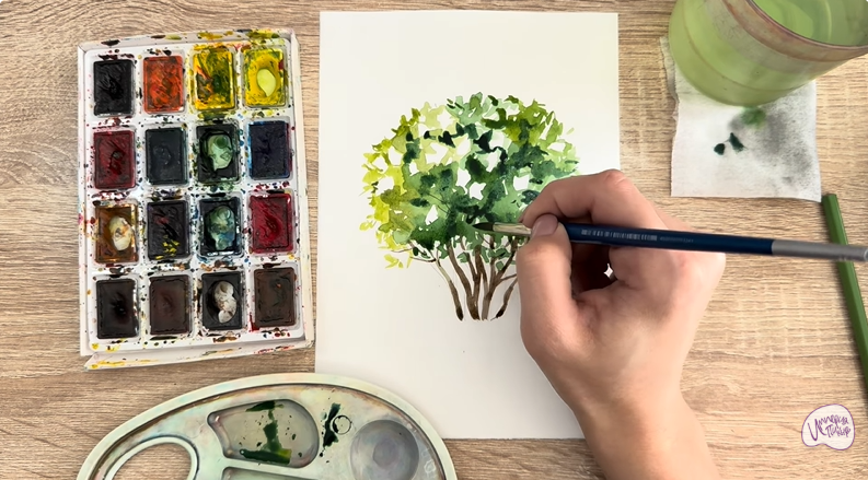 Рисуем Саженец бирючины