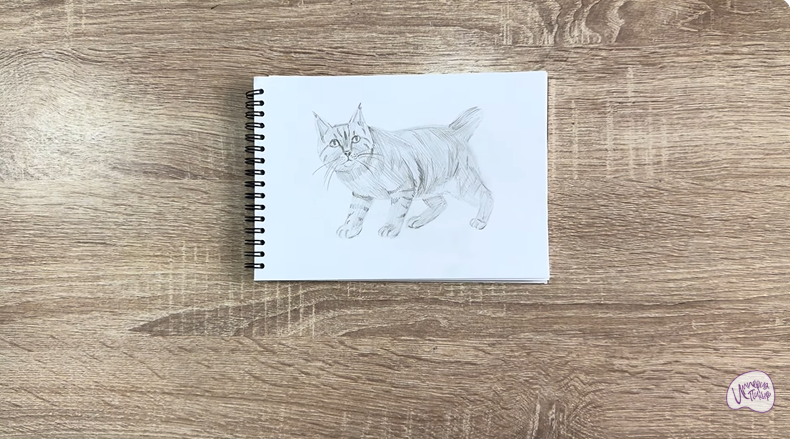 Рисуем Пиксибоб