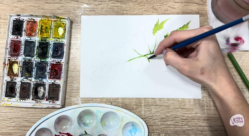 Рисуем Таволга