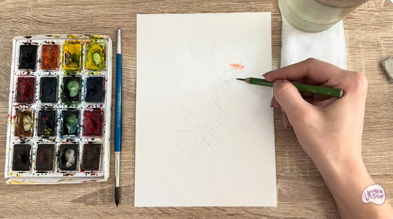 Рисуем Лапчатка