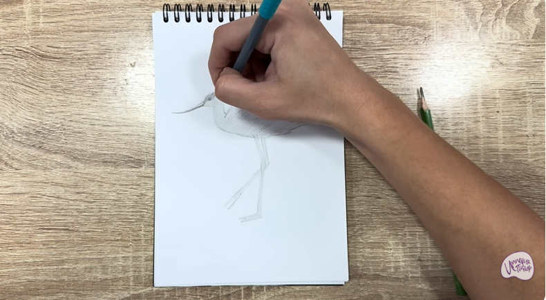 Рисуем Шилоклювка