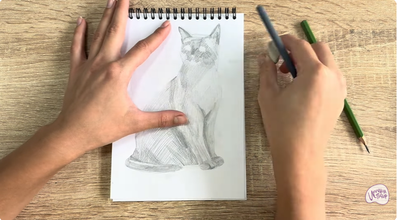 Рисуем Бурманский кот