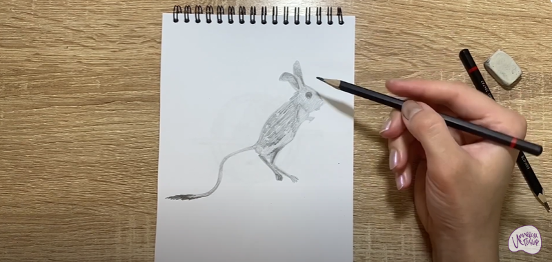 Рисуем Тушканчик