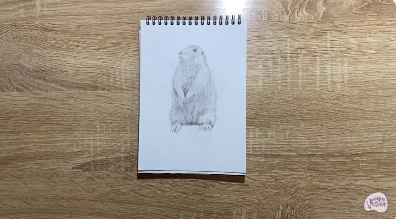 Рисуем Суслик