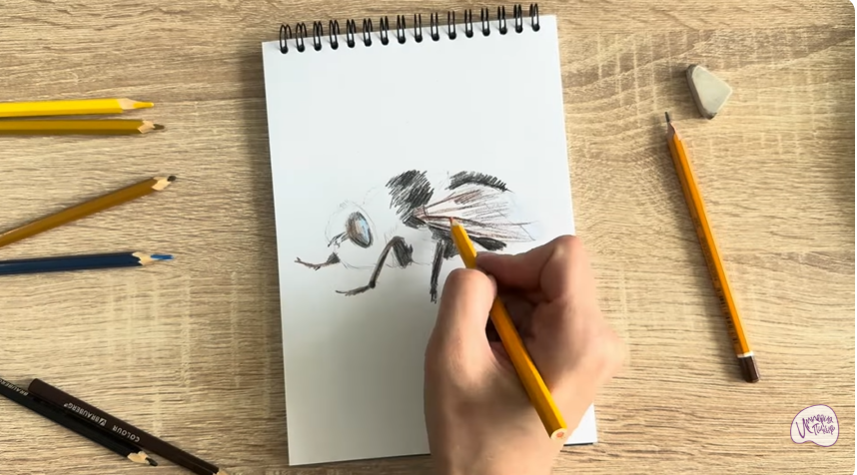 Рисуем Овод