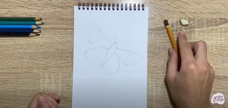 Рисуем Бабочка "Голубянка"