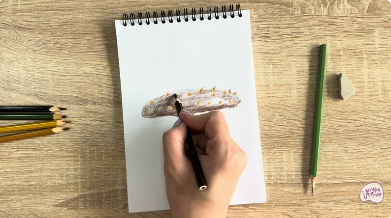 Рисуем Голотурия