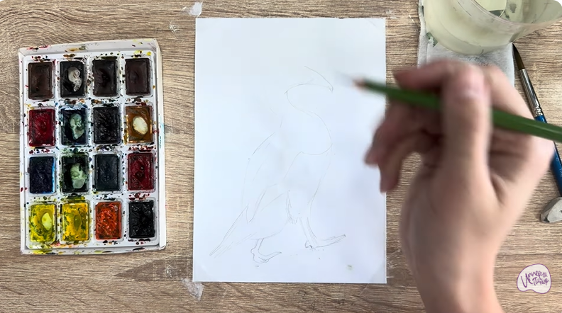 Рисуем Обыкновенная гага