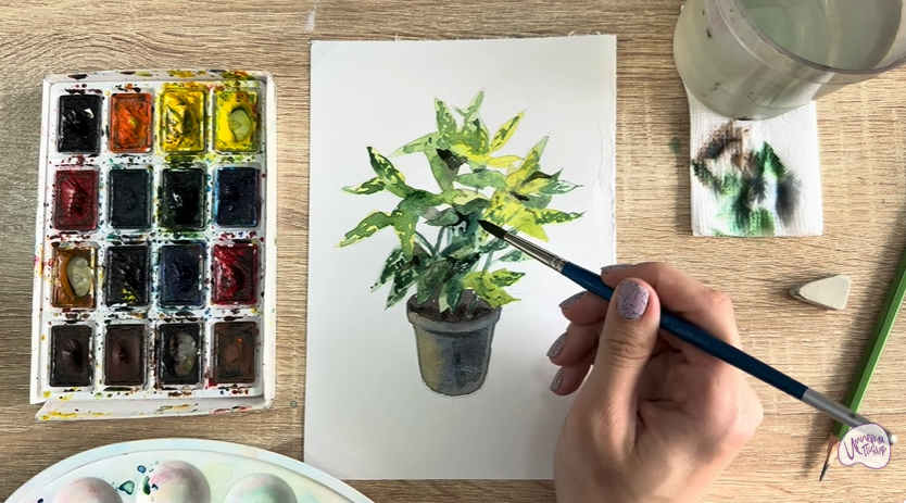 Рисуем Аукуба японская
