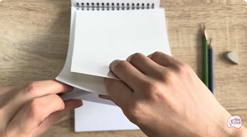 Рисуем Кот породы Шартрез