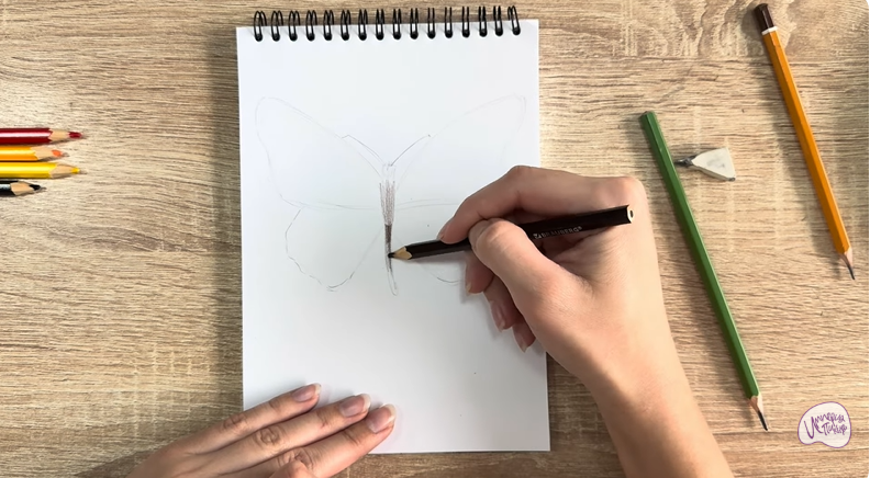 Рисуем Малинница обыкновенная