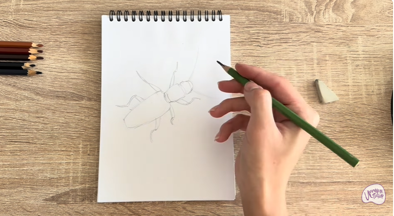 Рисуем Мукоед