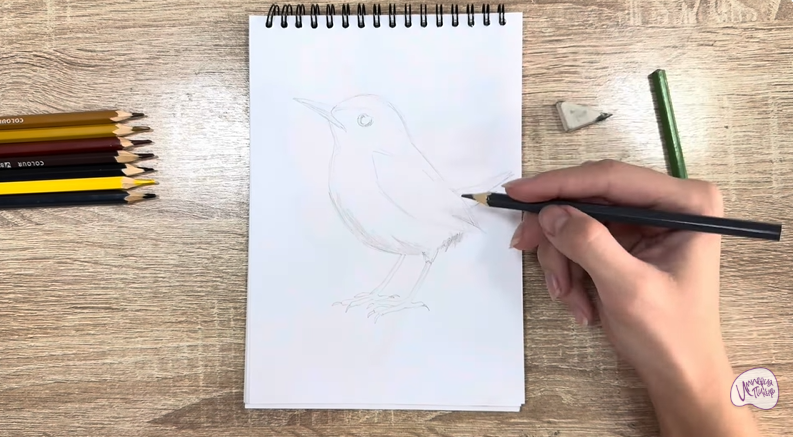 Рисуем Крапивник