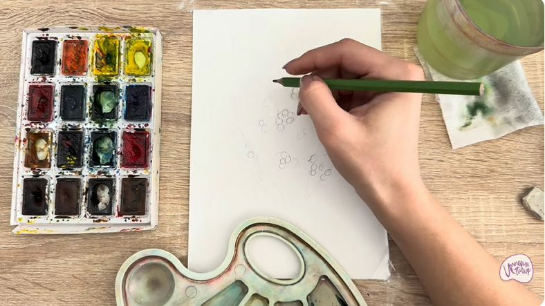 Рисуем Тис ягодный