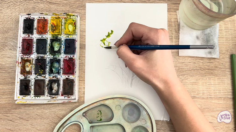 Рисуем Саженец бирючины