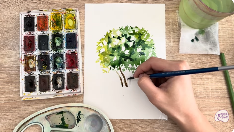 Рисуем Саженец бирючины