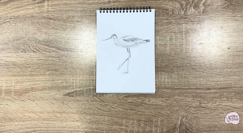 Рисуем Шилоклювка