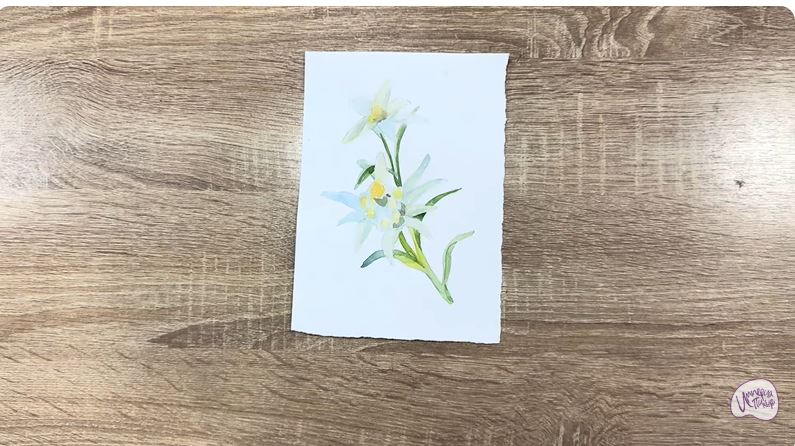 Рисуем Эдельвейс