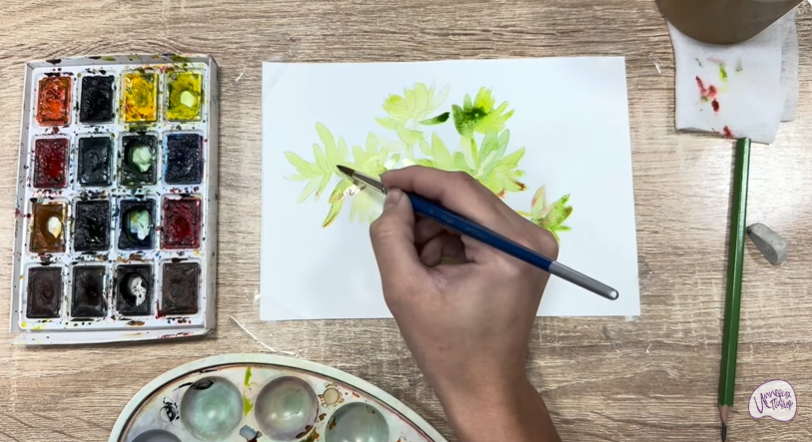 Рисуем Очиток