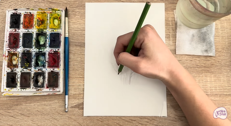 Рисуем Саженец бирючины