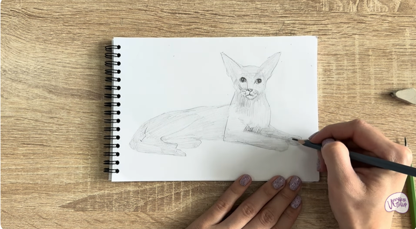 Рисуем Ориентальная кошка