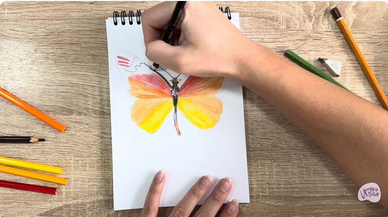 Рисуем Малинница обыкновенная