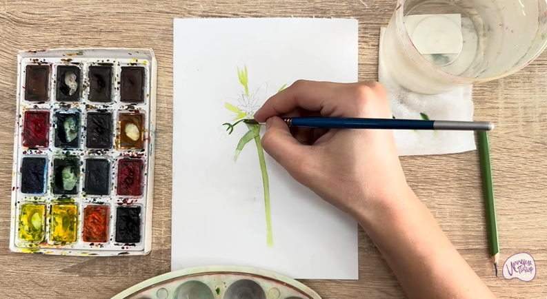 Рисуем Ясколка длинноволосая