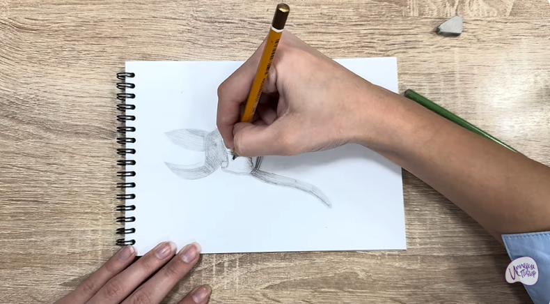 Рисуем Секатор