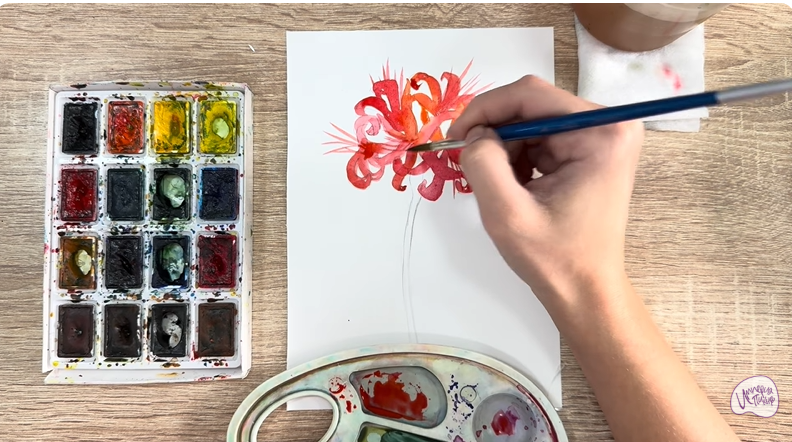 Рисуем Ликорис