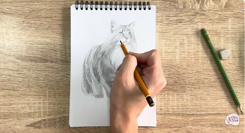 Рисуем Норвежский лесной кот