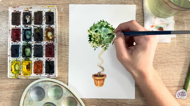 Рисуем Мирт обыкновенный