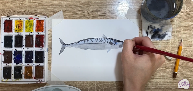 Рисуем Скумбрия